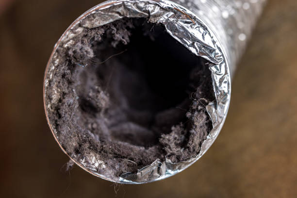 Best Ductwork Cleaning Services  in Florence, KY