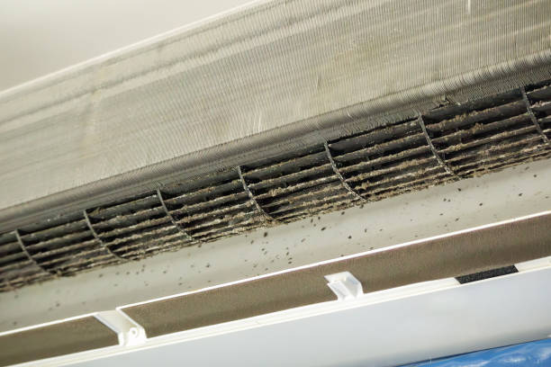 Best Best Air Duct Cleaning Company  in Florence, KY